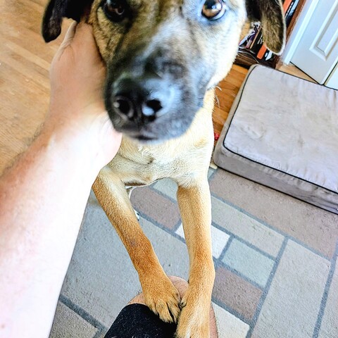 AT first he shy but had some much love in his eyes